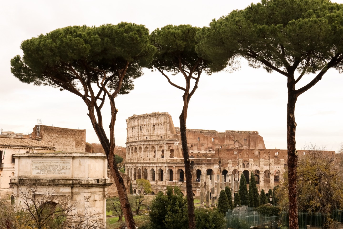 Colosseum View from Roman Forum Rome